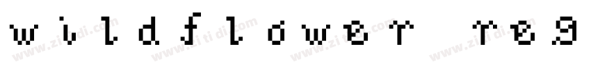 wildflower regular字体转换
